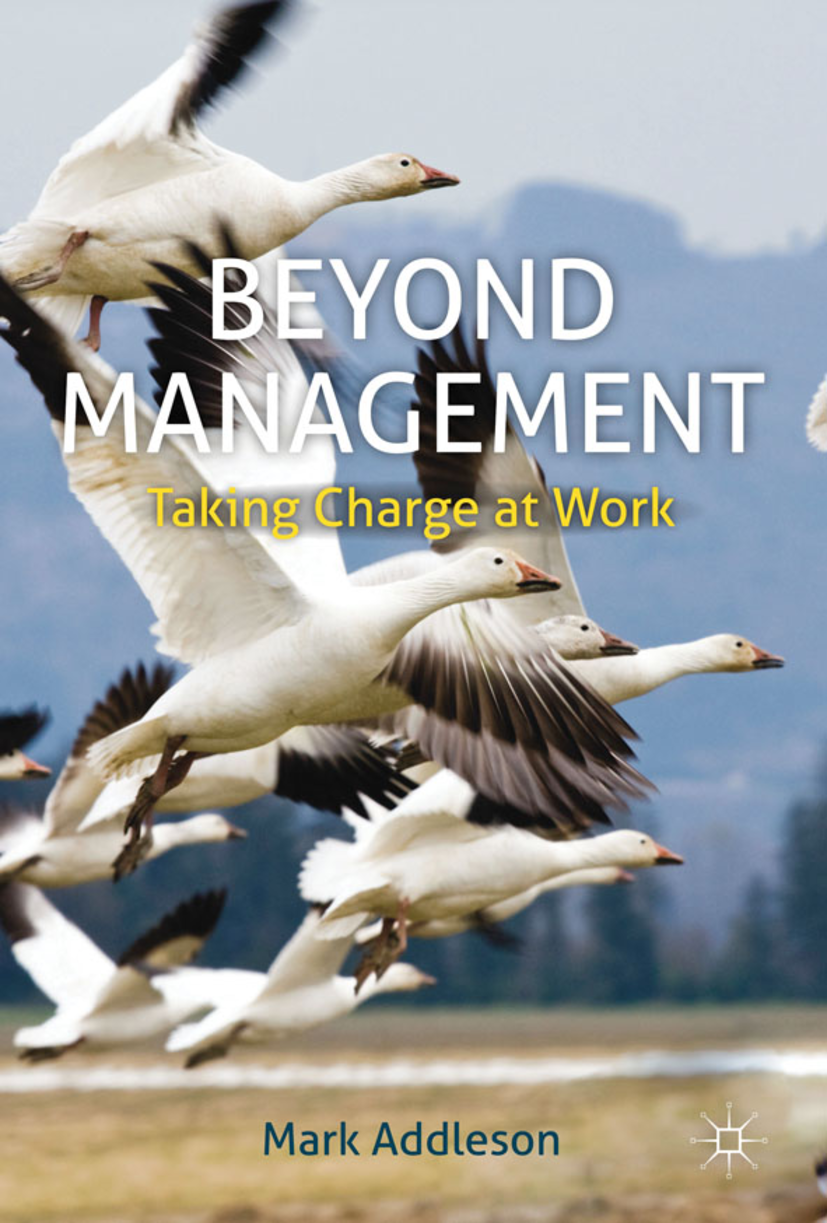 Beyond management book cover