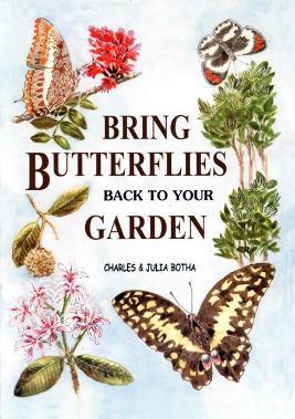 Bring Butterflies Back to your Garden 