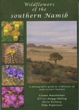Wildflowers of the Southern Namib