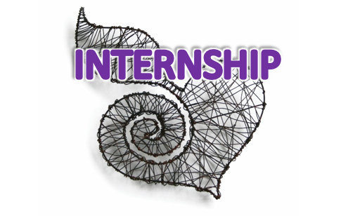 Internship:  Communications Specialist for the SARChI Chair of Global Change and Social Learning 