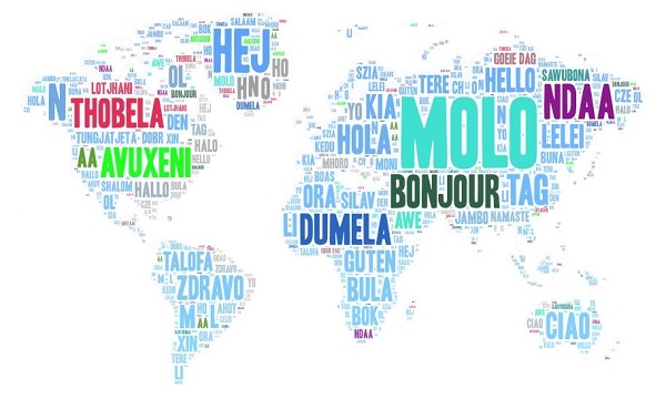 International Mother Language Day 2024 logo