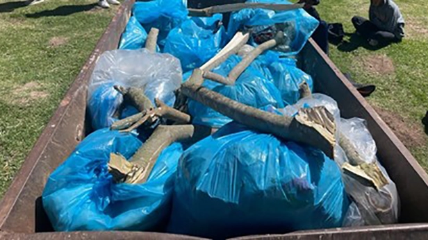 Students from the Department of Environmental Science and Oakdene House filled a skip from the waste they cleaned out of the river near Croft Street. They had to come up with a plan to weight down the rubbish with the alien vegetation which they also managed to remove from the site. 