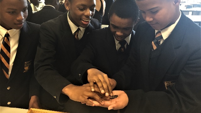 Grade 9 pupils getting up close with a hissing cockroach