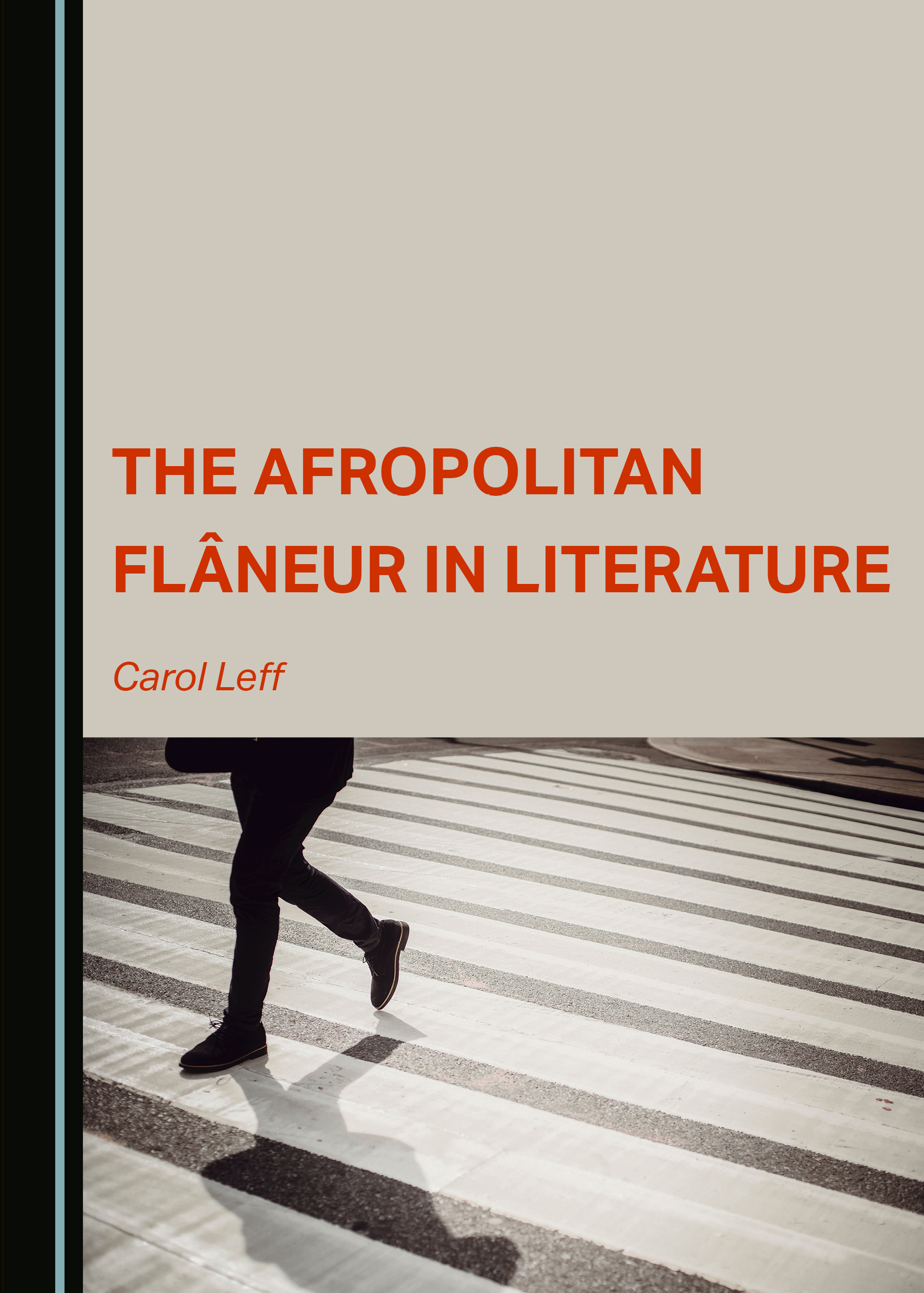 The Afropolitan  bookcover