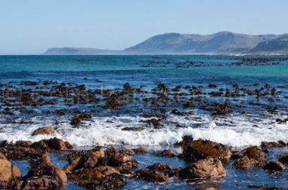 seascape