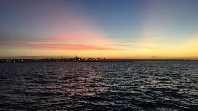 Eastern Cape marine scientists working together to plan for the future of Algoa Bay 