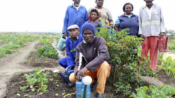 Members of Umthathi's Linomtha Fresh Vegatable Market earlier this year.