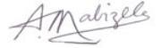 Dr Mabizela signature
