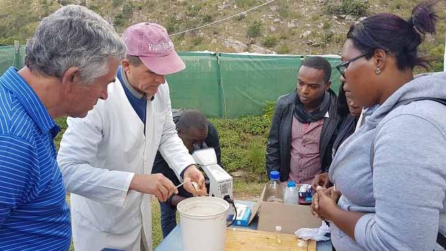 The aim of the course was to introduce participants to fish health management with a focus on marine