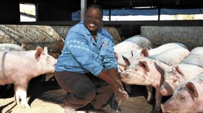 African farmers tap into a rich store of success stories