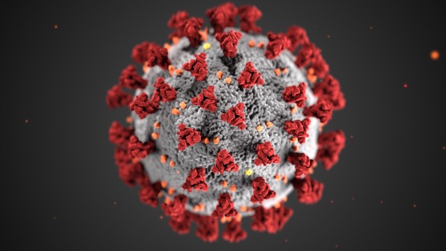 Depiction of the coronavirus