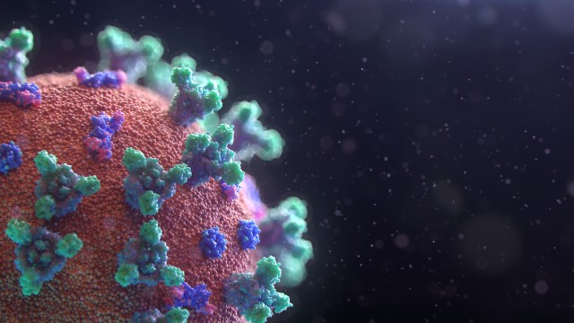 Depiction of the coronavirus