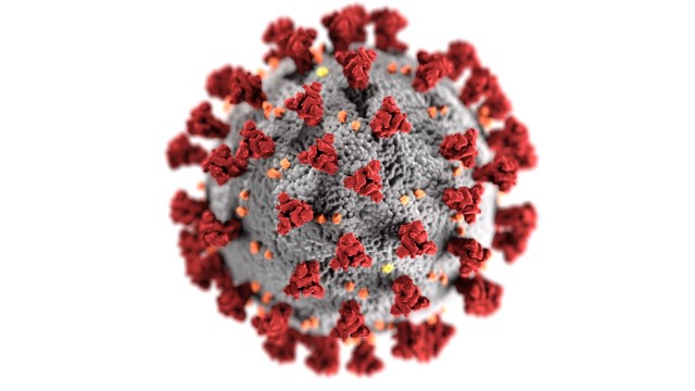 A depiction of the novel coronavirus