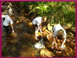 Children exploring stream