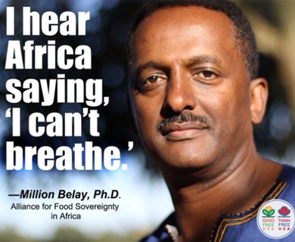 Dr. Million Belay - Photo credit GMOfreeUSA.org