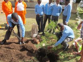 Ingrid - EEASA tree planting 1