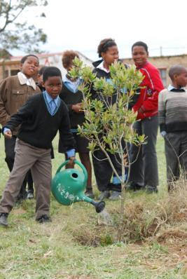 Ingrid - EEASA tree planting 3