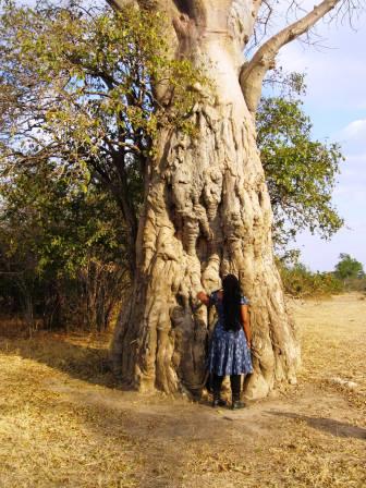 Baobab Eco-play 2