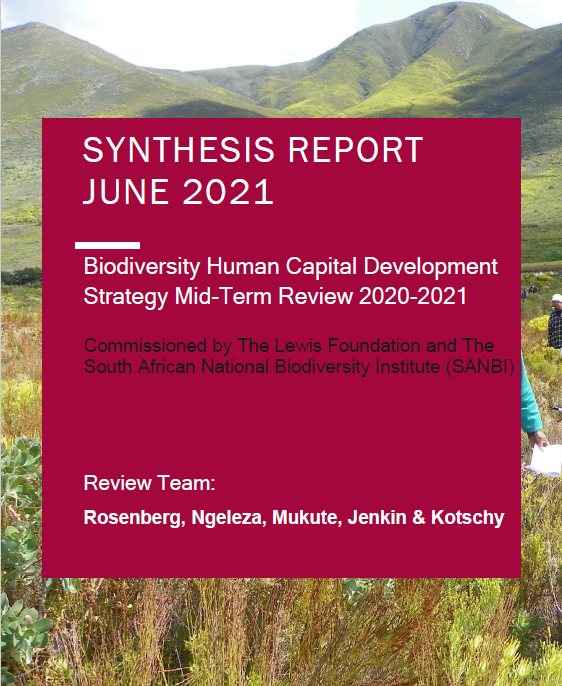Synthesis Report 2021