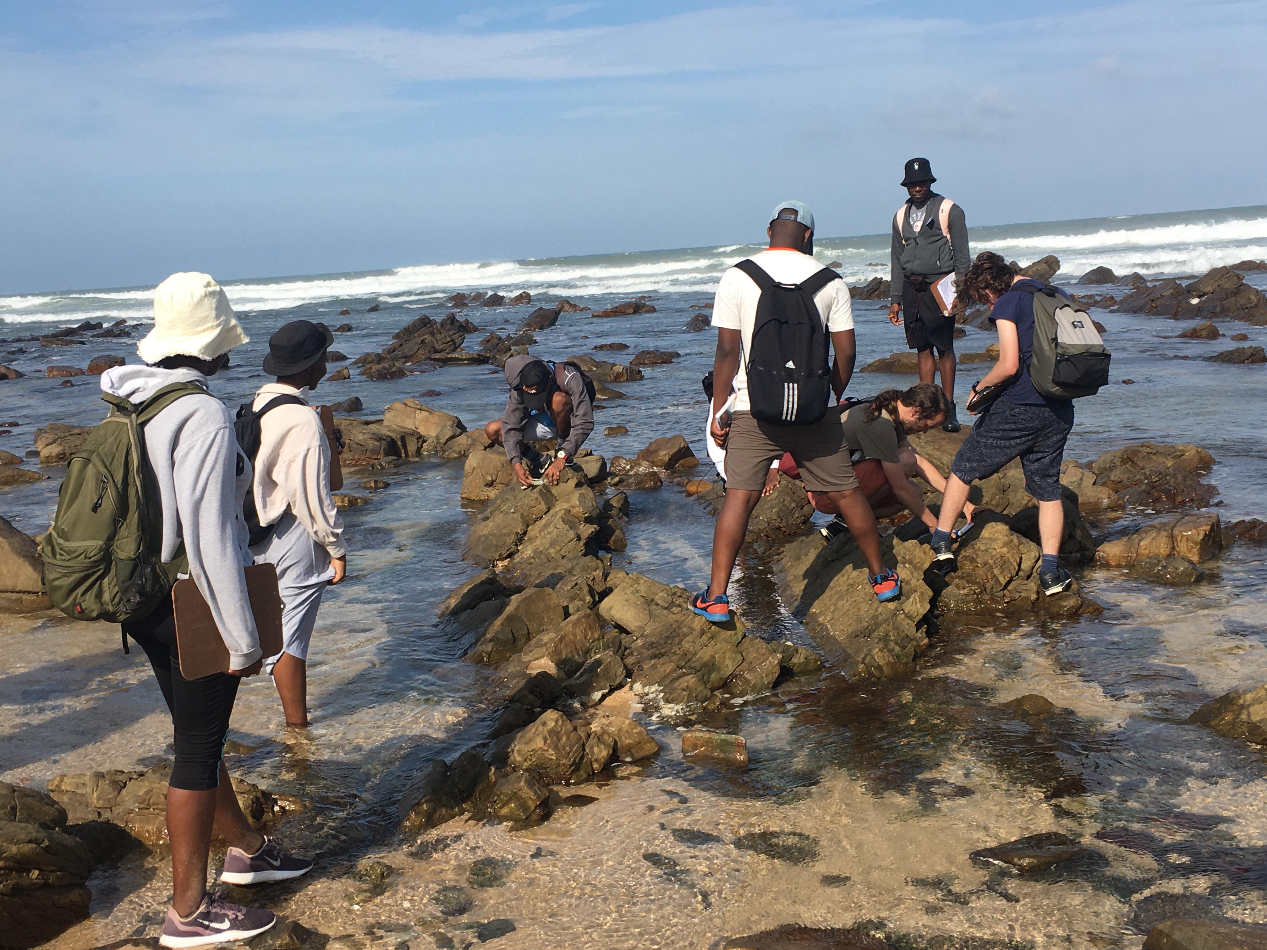 Fold measurement at Port Alfred