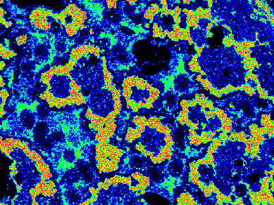 image-description-missing