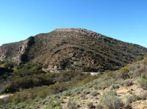Wilgemond Anticline