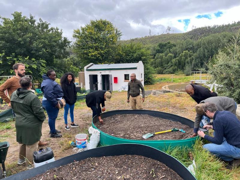 Testing the impact of natural fertilizer vs no fertilizer