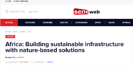 Africa: Building sustainable infrastructure with nature-based solutions