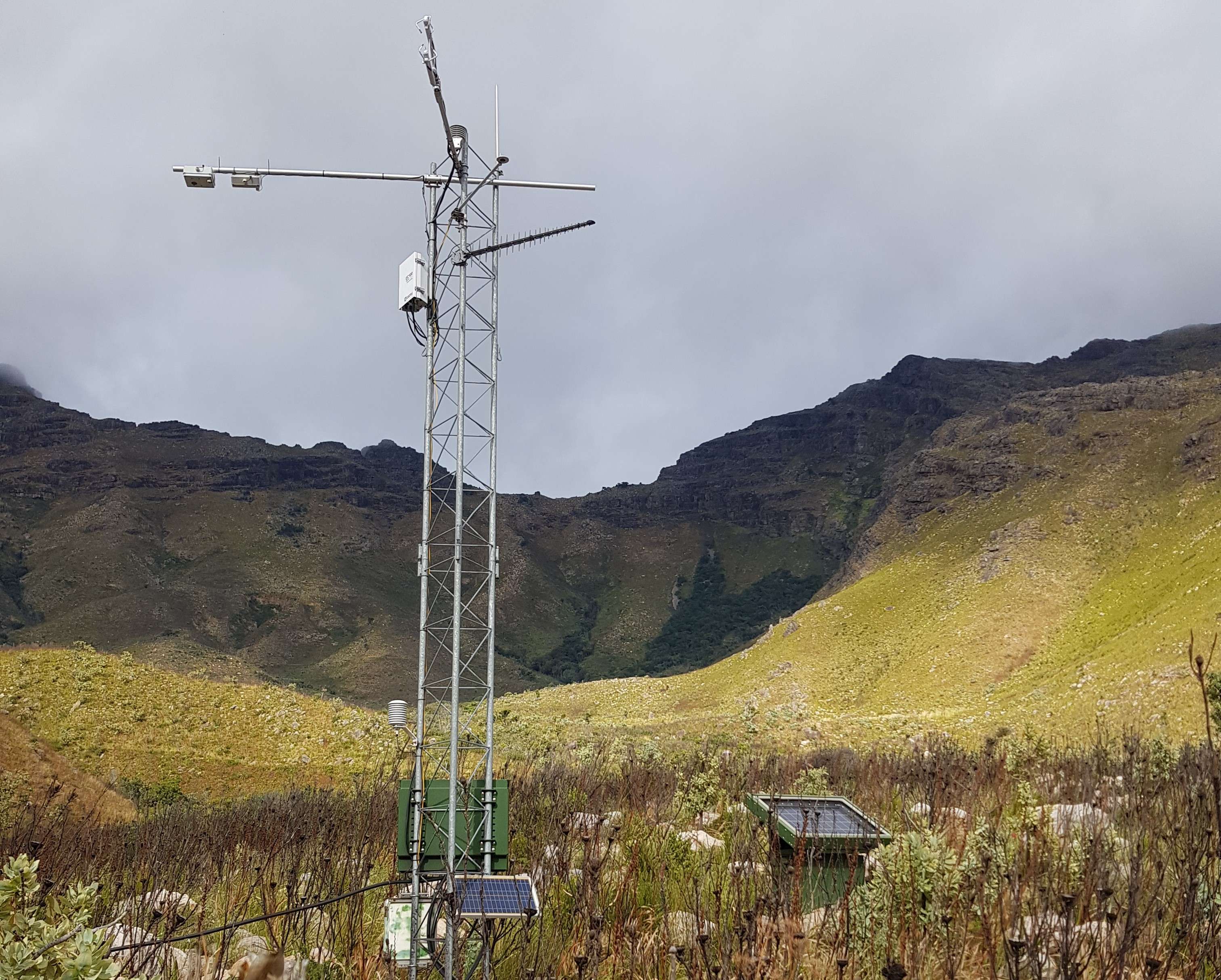 Eddy covariance flux towers measure water use by plants and carbon exchange between land and atmosphere. These data help researchers check whether hydrological models are accurate.