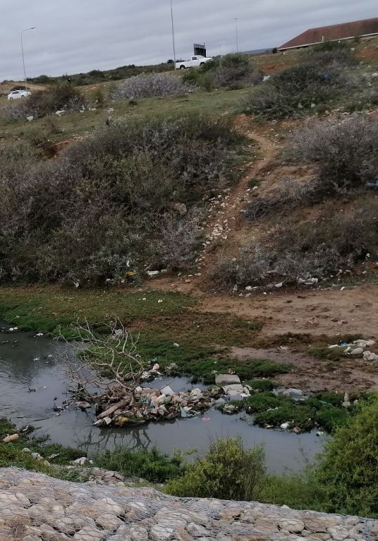 IWR Stock photo depicting plastic litter in a stream