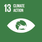 13 climate action