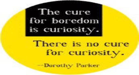 The cure for boredom is curiosity