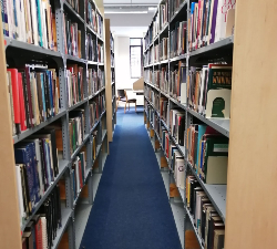Library Shelves 1
