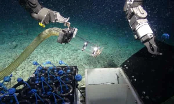Researchers from Plymouth University have found antibacterial microbes on deep-sea sponges. Photograph: NERC/Deep Links Project/Plymouth University/Oxford University/BGS/JNCC