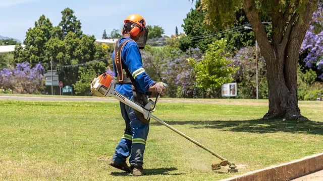 Investment in public parks can help reduce crime. [Peter Titmuss/Education Images/Universal Images Group via Getty Images]