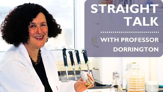 Professor Rosemary Dorrington, DST/NRF SARChI Chair in Marine Natural Products Research at Rhodes University