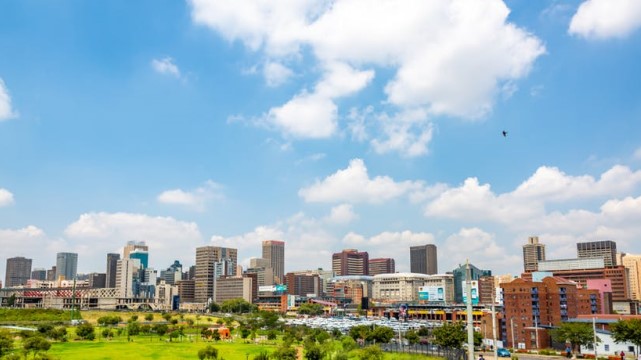 In South Africa, there are more streets named after non-native plant species than native plant species. [Credit: shutterstock]