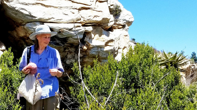 Yvette van Wijk doing fieldwork