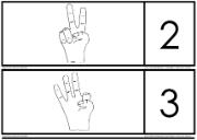 ENF finger flash cards with numerals