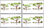 ENF monkey sequencing cards image