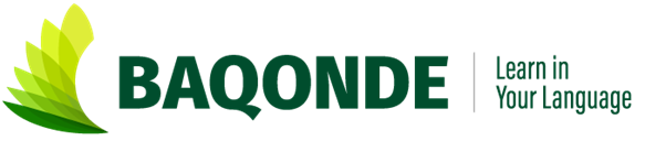 Baqonde Project logo