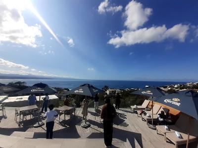 Plett
