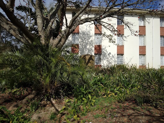 New House - side of building