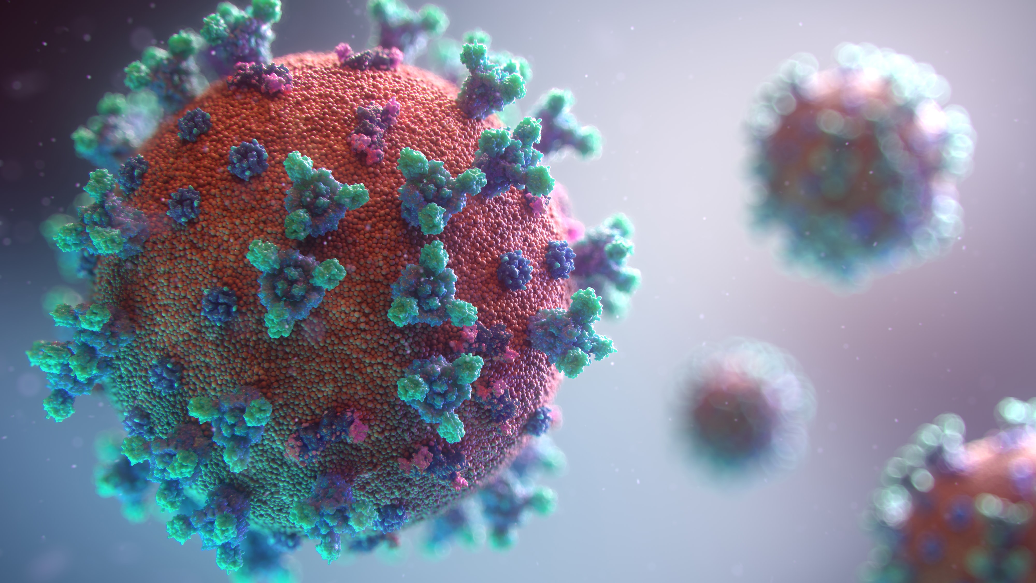 The SRC encouraged students to empower their communities with the knowledge that they have acquired about the Coronavirus. Image / Fusion Medical Animation
