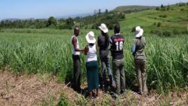 RESBEN Masters Opportunity