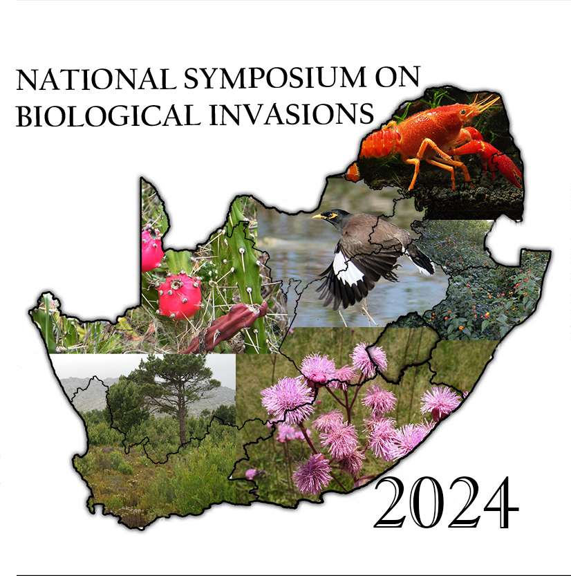 NSBI 2024 Logo