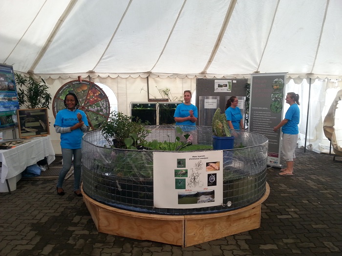 SciFest 2015