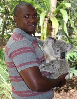 Evans Koala
