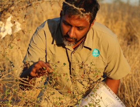 Raghu Australia