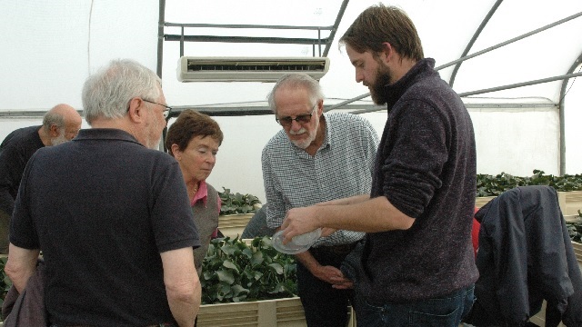 Dr Grant Martin showing what insects are reared at Waainek